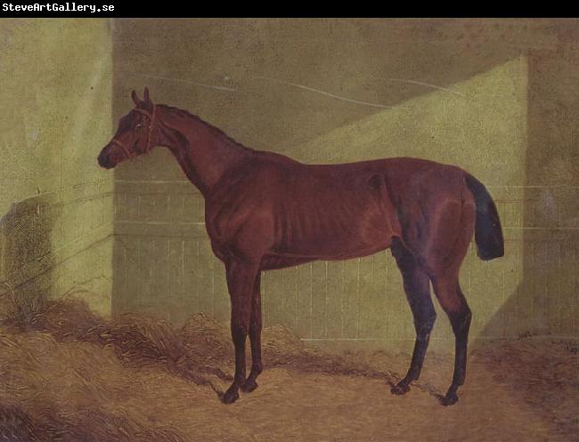 John Frederick Herring Margrave Winner of the st Leger